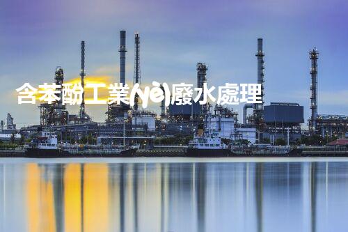 含苯酚工業(yè)廢水處理的創(chuàng)新技術(shù)與以后展望？